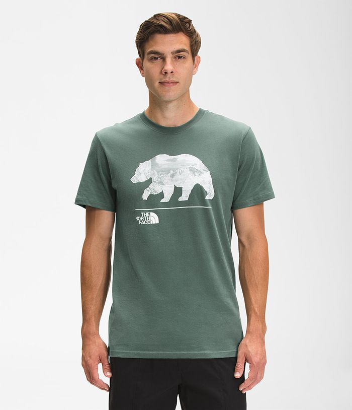 Camiseta The North Face Hombre Bearscape Manga corta - Colombia TILZVE249 - Verde